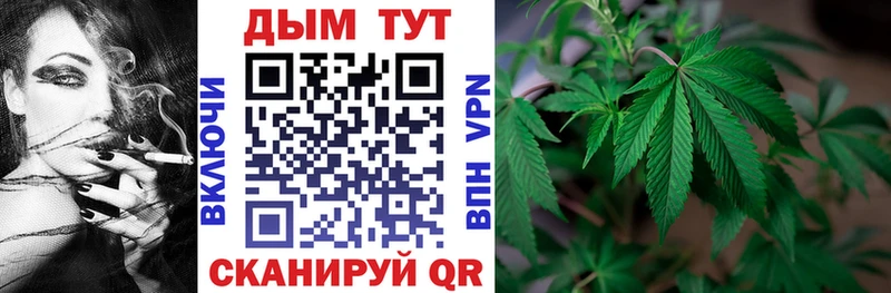 сколько стоит Березники Шишки марихуана семена